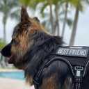 Auroth Tactical Dog Harness for Large Dogs No Pull Adjustable Pet Harness Reflective K9 Working Training Easy Control Pet Vest Military Service Dog Harnesses Black XL