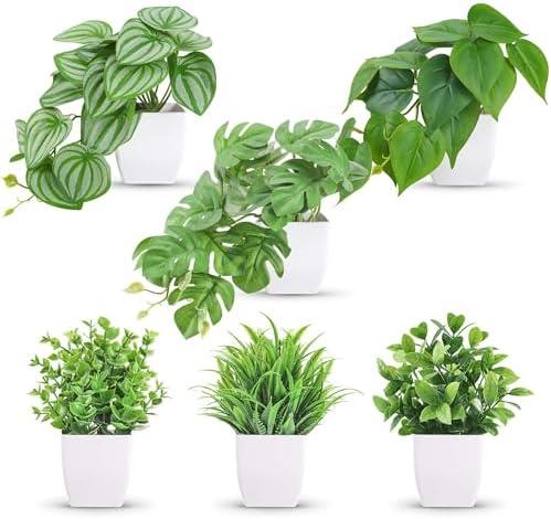 Amazon.com: Der Rose 6 Pack Fake Plants Small Artificial Potted Plants Faux Plants for Home Office Desk Bathroom Aesthetic Farmhouse Room Decor Indoor : Home & Kitchen