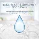 Blue Buffalo Tastefuls Natural Tender Morsels Wet Cat Food, Chicken Entre 5.5-oz cans (Pack of 24)