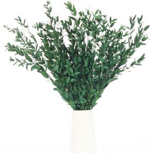 Preserved Real Eucalyptus Leaves Branches, 7-12 Pcs Fine Leaf Eucalyptus Greenery for Home Decor - Vase Filler, Wedding Centerpieces, Floral Arrangements, Crafting (14''-17'', Green)