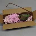 Ttranewsoo Hydrangea Artificial Flowers ,Fall Hydrangeas Artificial Flowers, Fake Fall Dried Hydrangea Decoration,Faux Silk Flower With Stems Winter Decor Indoor and outdoor(Pink 24"8pcs) Without Vase
