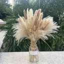 Pampas Grass Decor 110 pcs 17.5inch Natural Dried Pampas Grass-15Pcs White Pampas & 15Pcs Brown Pampas & 50Pcs Reed Grass& 30Pcs Bunny Tail Grass, Fluffy Dried Flowers for Home Decor Wedding Boho Decor