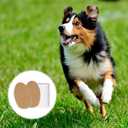 DOITOOL Dog Ear Support Kit with Adhesive Ear Posting Patches for Puppies and Dogs Correction Tool for Natural Suitable for All Breeds and Ages (Beige)