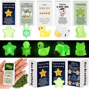 Cinnvoice 25 Set Emotional Mental Health Care Support Gift Bulk for Coworker Affirmation Mini Luminous Resin Appreciation Gift Box Breathing Gifts for Team Xmas Teacher, Turtle Duck Cow Star
