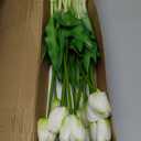 Prakilom Artificial Tulips Flowers (15pcs, White), Real Touch Latex Bouquet for Home, Wedding, Table Centerpiece and Party Events Decoration, DIY Fake Floral Arrangements (Vase not Included)