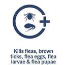 PETARMOR Home Carpet Powder for Fleas and Ticks, Protect Your Home From Fleas and Deodorizes Carpets, 16 Ounce