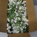 Dolicer 2 Pcs Babys Breath Artificial Flowers Vines, 5.9 FT Faux White Hanging Baby Breath Garland, Real Touch Fake Babys Breath Gypsophila for Wedding Party Backdrop Wall Home Decor