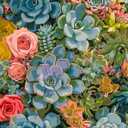2 x DOTSTART Paint by Numbers Kit for Adults,Colorful Succulents Plants Paint by Number for Adults,Acrylic Adults' Paint-by-Number Kits, Easy Paint by Number Adult Canvas for Home Art Decor, 16X20 inch