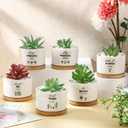 Reallnaive 6 Pcs Inspirational Succulent Pots with Bamboo Tray, Mini Ceramic Planters Appreciation Gifts for Employees Teachers Nurses Coworker Staff Team Thank You Graduation (Plants Not Included)