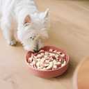 Ceramic Slow Feeder Dog Bowl - Feeding Dish for Fast Eaters - Maze Dog Bowl to Slow Down Eating - Ideal Food Control Dish for Small Breeds - 0.8 Cups (80g) - 6.3 Inch - Pink
