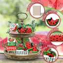 Summer Tiered Tray Decor, Red Green Watermelon Tray Decorations, Hello Summer Sweet Popsicle Ant Wooden Signs, Farmhouse Rustic Decorations for Home Table Shelf Mantel Party