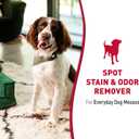 Natures Miracle Stain and Odor Remover Dog, 32 Ounces, Everyday Mess Enzymatic Odor Control Formula