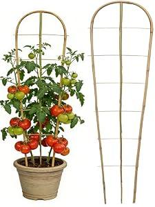 4 Pack 4.8 Ft Natural Bamboo U-Shaped Trellis, Oltara Plant Support Trellis for Outdoor, Garden, Climbing Plants, Vines, Potted Plants, Flowers