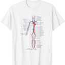 Circulatory System Anatomy Chart Arteries Veins T-Shirt (Small)
