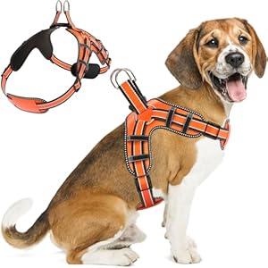 Dog Harness for Medium Dogs Back D-Ring Control No Choking Pressure-Free Chest Design Comfortable Padded Adjustable Reflective Vest Harness for Daily Walks Training Easy Control Outdoor Use Secure Fit