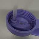 Hydro Flask 20 Oz Kids Wide Mouth Straw Cap And Boot Wisteria