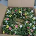 22" Spring Summer Wreath for Front Door, Artificial Floral Wreath with Pink Cosmos Yellow Chamomile White Daisies and Wild Grass, Indoor Outdoor Spring Summer Home Decor for Porch Window Wall
