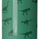 Simple Modern Kids Water Bottle with Straw Lid | 18oz Insulated Stainless Steel Kids Tumbler & Spill Proof Toddler Cup for School, Girls, Boys | Summit | Dino World