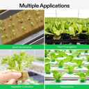 VIVOSUN 1" Rockwool Cubes, 200 Plugs Stonewool Starter Grow Cubes for Cuttings, Cloning, Plant Propagation, Seed Starting, Hydroponic Grow Media for Vigorous Plant Growth