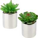 Briful Small Artificial Succulents in Pots Set of 2 Realistic Faux Succulents Plants with Silver Ceramic Pots Cute Mini Fake Plants Decor for Modern Home Table Office Desk Bathroom Shelf Decoration (Style #13)
