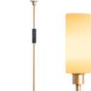 EDISHINE LED Corner Floor Lamp with Glass Lampshade, Modern Dimmable Lamp with Remote, 5 CCT, 65" Tall Standing Light for Living Room, Bedroom, Office, Bulb Included (Gold)