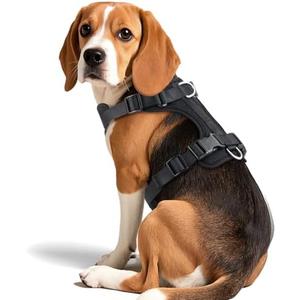 Wisedog Mesh Breathable Dog Harness: No Pull Harness with 3 Fast-Release Buckles Adjustable for Walking & Training for Small Medium Large Dogs (Black, M: Neck=17"-22"/Chest=15"-28")