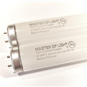 F40/D Daylight (2 Pack) 4ft Fluorescent Tube Light Bulb 40W 40 Watt T12 Daylight 4100K 1.5 inch Diameter Replaces F40DX F40T12/865/ECO F40SP65/ECO F40DX/ALTO F40/LR/ECO/2P F40T12/DX (2)