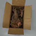 EmoursTM Aquarium Sinkable Driftwood Fish Tank Decoration (Small)