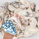 15PCS Oyster Shells 4"-5" Concave Oyster Shells for Crafts Natural Oyster Shells Bulk, for Home Vase Filler, Xmas Ornaments, DIY Arts and Crafts Sea Shells