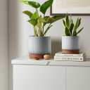 LE TAUCI Ceramic Pots for Plants, 8+6.7+5.5 Inch Plant Pots Indoor, Flower Pot with Drainage Holes, Medium Cylinder Planters for Indoor House Plants, Set of 3, Reactive Glaze White