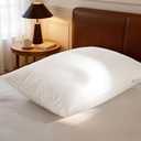 Luxury Canadian White Goose Down Pillow Queen Size- 900+ Fill Power, 600 Thread Count Cotton Shell, Soft Down Pillows for Sleeping, Hotel Collection Pillow for Neck Pain Relief (1 Pack, 20"x30")