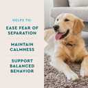 VetIQ Calming Support Supplement for Dogs, Calming Chews Help Manage Stress and Promote Relaxation, Anxiety Relief for Dogs, Made in The USA, 60 Count