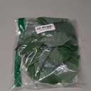 20 LED Palm Leaves String Lights, Tropical Artificial Monstera Leaf Wall Hanging Vine Leaf for Hawaiian Luau Party Jungle Theme Beach Birthday Home Decorations (A Monstera Leaf String Lights 1 Pcs) 