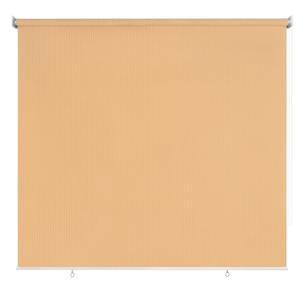 CICADA SPEECH Outdoor Roller Shade Roll Up Shade Cloth Patio Blinds for Deck Porch Balcony Backyard (8' W X 6' L), Wheat CICADA SPEECH Outdoor Roller Shade Roll Up Shade Cloth Patio Blinds for Deck Porch Balcony Backyard (8' W X 6' L), Wheat