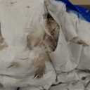 Royoliving Premium Feathers Down Duvet Insert Comforter Oversized King Size All Season Medium Warmth White 100% Cotton Cover with Corner Tabs (120x98, 77 oz)