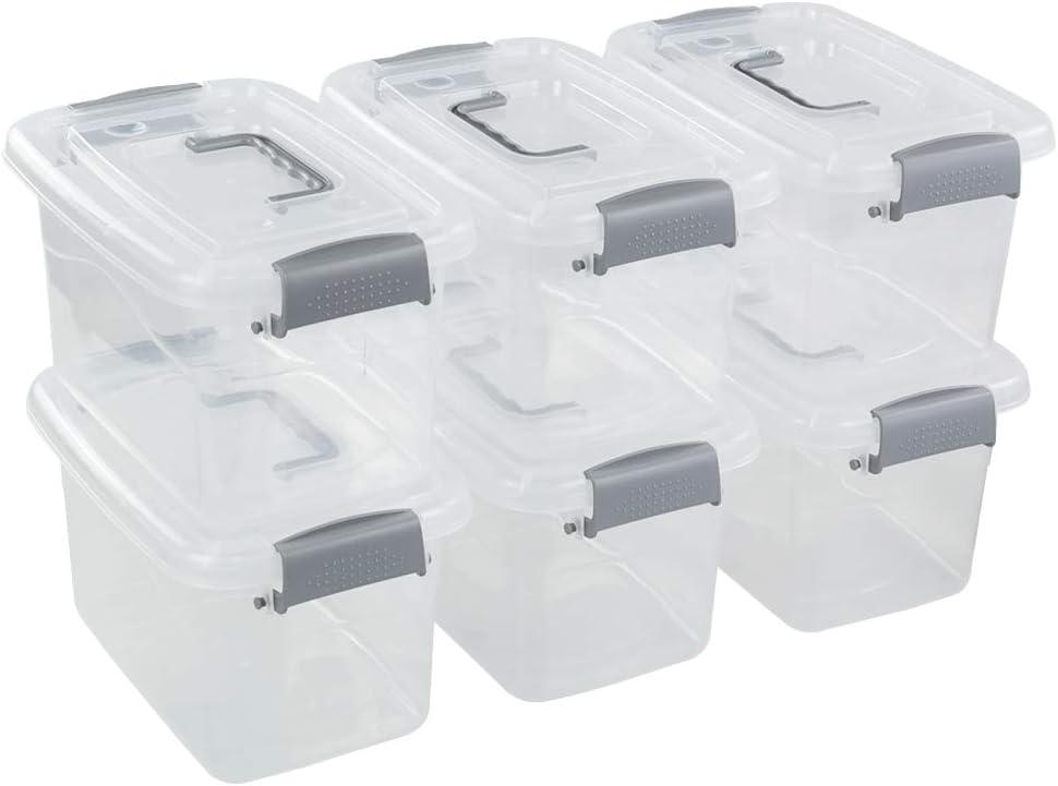 Readsky 5 L Clear Plastic Latch Box with Lids and Handle, 6 Packs