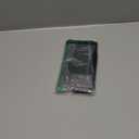 Cool Capybara Selfie T-Shirt, Medium