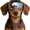 Namsan Dog Helmets for Small Dogs, Dog Helmet with Sun Lens Goggles, Doggie Helmets Hat with Ear Holes, Bike Doggie Helmet for Small to Medium Dogs, Adjustable, Black