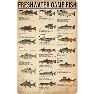 Boy's Fishing Gifts Vintage Fresh Water Gamefish Knowledge Tin Sign for Man Cave Boys Hunting Room Bedroom Lake House Cabin Wall Art Decor 8x12 Inch (3069)