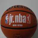 Wilson Jr. NBA Authentic Outdoor Basketballs (6, brown)