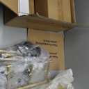 Pink Floor Lamp for Living Room,Bedroom,Gold Mid Century Modern Standing Lamp Brass Tree 3 Light Tall Floor Lamps Vintage Retro Floor Lights Glass Flower Lamp Shade Farmhouse Boho Bohemian