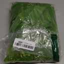 100pcs Fruit Protection Bags 6x9 inch, Green Netting Cover Bags Drawstring Mesh Fruit Protectors Pest Barrier for Tomato Mango Trees Veggies Garden