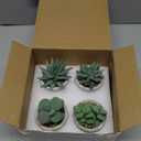 Der Rose Set of 4 Succulents Plants Artificial Fake Plants for Living Room Bathroom Bedroom Aesthetic Home Kitchen Decor
