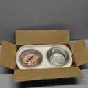 Elevated Cat Bowl, Raised Cat Food and Water Bowl Set for Indoor Cats, Splash Proof with 2 Stainless Steel Pet Food Bowls for Cats and Puppies, Whisker Fatigue and Dishwasher Safe - White