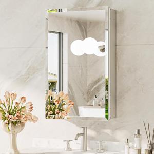 TokeShimi 14 x 24 Medicine Cabinet with Mirror, Assembly Required, Silver Recessed Bathroom Medicine Cabinet with Tempered Beveled Mirror, Stepless Adjustable Shelves, DTC Hinge