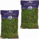 SuperMoss Forest Moss (2 Pack, 8oz) - Modern Garden Moss