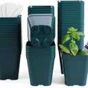 June Fox Plastic Seedling Pots, 60 Pack Square Nursery Pots 4 Inch, Small Plant Pots with Drainage Holes for Seedlings, Succulents, Cuttings (Green)