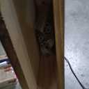 Fireplace Mantel Handmade, 3'' Thick Wall Decor Long Floating Shelf, 60inch Rustic Wood Shelf with Invisible Brackets, Brown