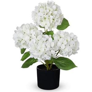 Hollyone White Hydrangea Artificial Flowers in Pots 19.7" Four-Head Faux Silk Hydranges Flower Arrangements for Indoor Home Office Kitchen Table Centerpieces Wedding Decorations