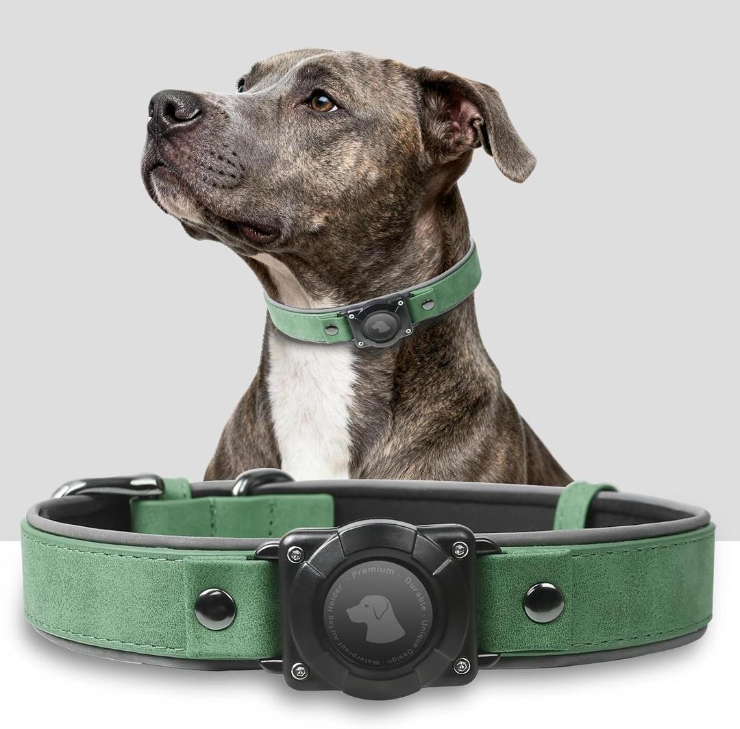 Premium Leather AirTag Dog Collar, 100% Waterproof & Reflective Dog Collar with AirTag Holder  Compatible with Apple Air Tag | Durable, Comfortable Padded GPS Dog CollarsGreen-M (M(12.5"-17.3"))